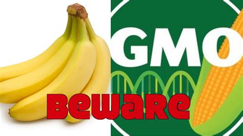 Are You Eating Dangerous Gmo Bananas Vegan Punch