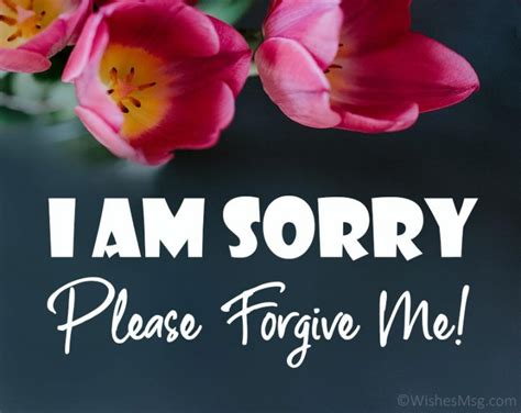 100 Sorry Messages For Friend Apology Quotes Wishesmsg