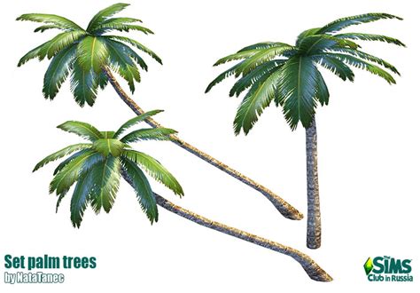 Corporation Simsstroy The Sims 4 Set Palms Trees