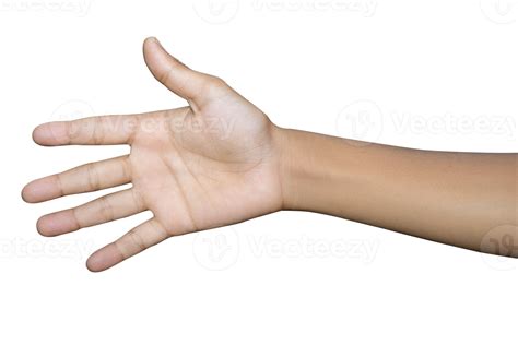 Hands Isolated On White Background 9638156 Png