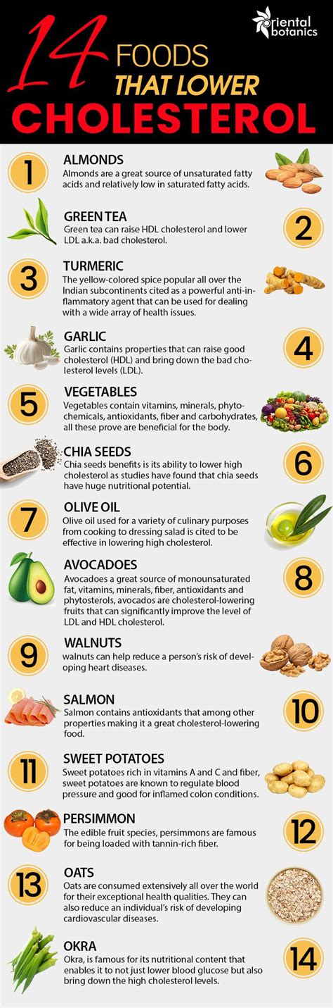 Printable List Of Low Cholesterol Foods