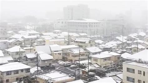 Tokyo Hit By First November Snow In 54 Years