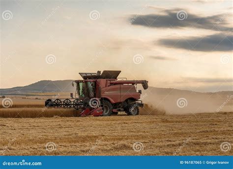 Combine Harvesting The Field Of Wheat On A Sunset Stock Image Image