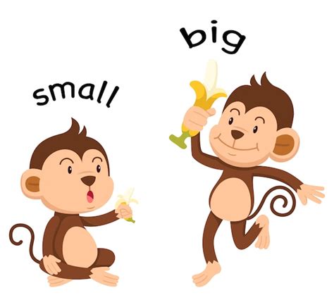 Free Vector Opposite Words For Big And Small