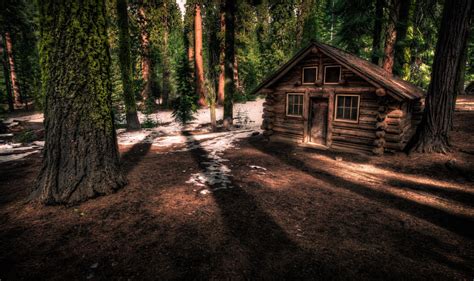 Wallpaper California Park Wood Trees Forest Wooden Big Cabin