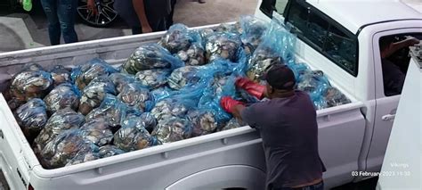 father and son in court for massive abalone bust