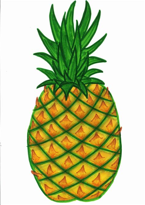 Pineapple Drawing Clip Art At Getdrawings Free Download