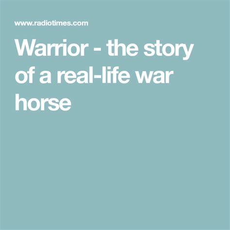 Warrior The Story Of A Real Life War Horse War Horse Real Life Horses