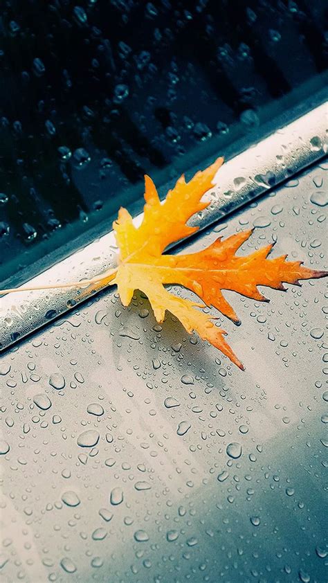 Autumn Rain Iphone Wallpapers Tap To See More Fall Season