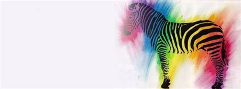 Colorful Zebra Facebook Banners For Facebook Facebook Covers Myfbcovers