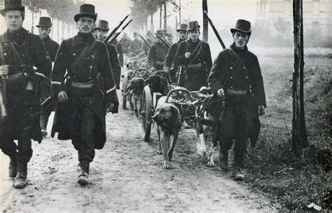 Marching Belgian Soldiers Leading Their Dog Drawn Machine Gun Carts