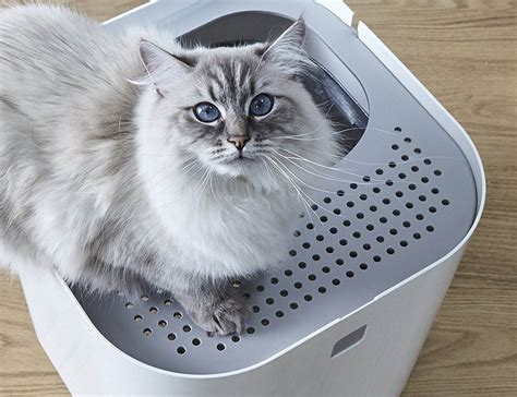 Modkat Litter Box For Your Feline Friend Gadget Flow