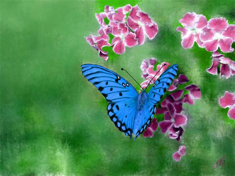 Blue Butterfly Painting By Bruce Nutting Fine Art America
