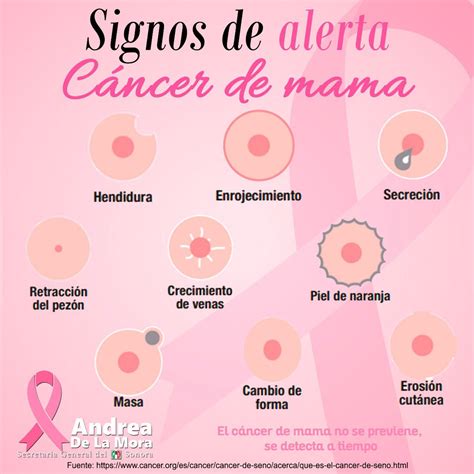 Senales De Cancer De Mama SEO POSITIVO