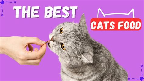 What are cat's favorite foods? – HousePetsCare.com
