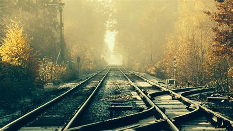Train Railway Tracks Forest Wallpapers Hd Desktop And Mobile