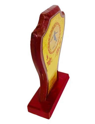 Wooden Trophy W 520 At Rs 180 Wooden Momento In Noida Id