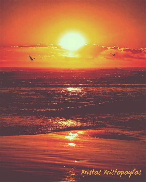 An idyllic sunset 🌇 on the beach 🌊 with flying birds 🐦 🐦 👌☺💖 | Sunset love, Sunset, Birds flying