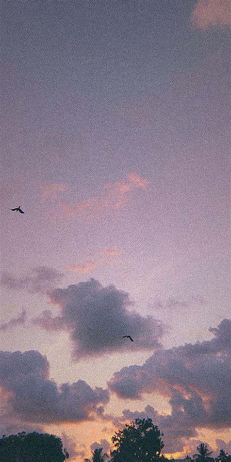 1920x1080px 1080p Free Download Purple Cloudy Sky Aesthetics Cloud