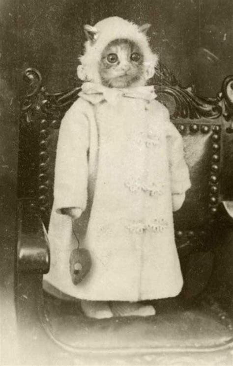 24 Weird Creepy Vintage Photos From The Scary Olden Days Crazy Cats