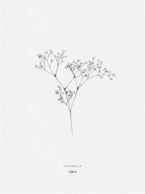 Baby doll massage sidney kohl bbw pornstar hd. Flowers - Gypsophila | Nature tattoos, Flower sketches ...