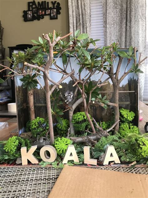Historically, prescriptive grammar stated that, when expressing pure futurity. Koala diorama- Australian Eucalyptus Forest | Habitats ...