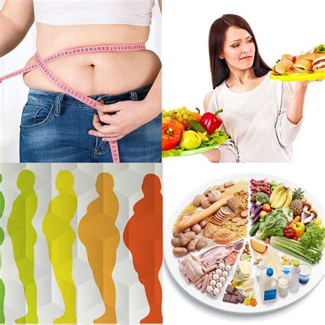 sobrepeso y obesidad lo importante que todos deberían conocer la guía de las vitaminas