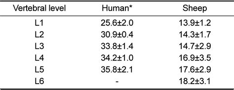 Mean And Standard Deviation Of Sheep And Human Lumbar Vertebral Body