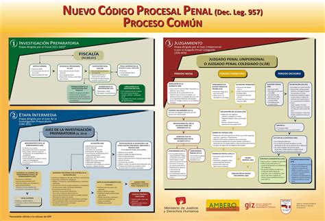Red De Reforma Procesal Penal Flujogramas Del Nuevo Proceso Penal
