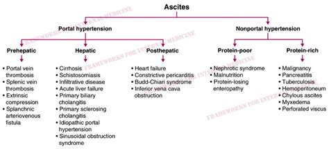 Causes Of Ascites Differential Diagnosis Algorithm Portal Grepmed