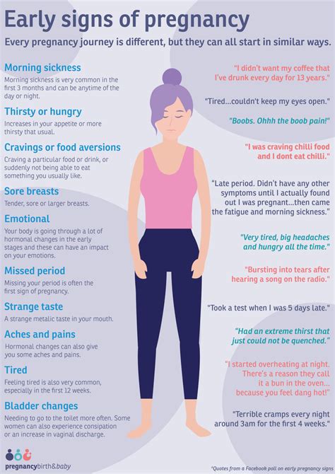 What Are The Early Signs Of Pregnancy Infographic Pregnancy Birth