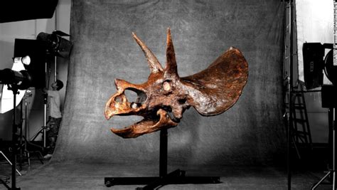 New Chinese Dinosaur Fossils Related To Triceratops Cnn