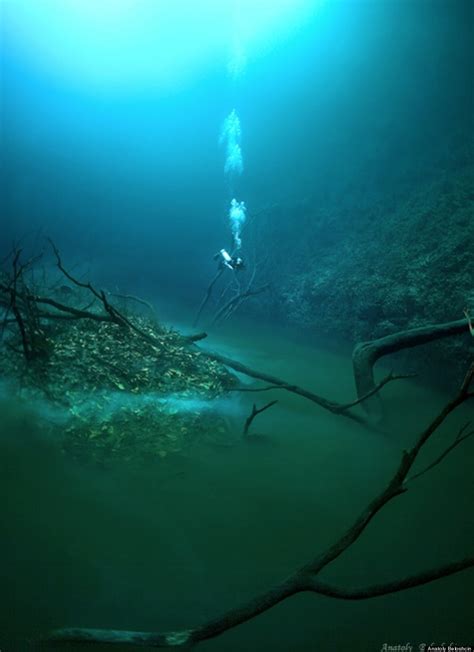 Photos Une Rivière Sous La Mer Dans La Cenote Angelita Au Mexique