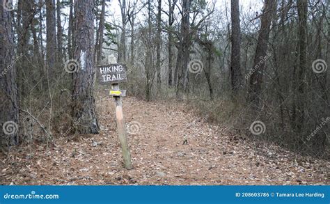 Winter Hiking Trail In Oklahoma Woodland With Bare Branches Stock
