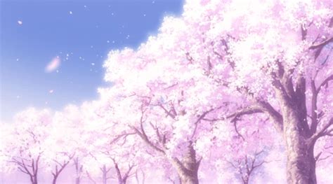 Anime style background art are usually painted with traditional medium. Sakura Trees! (Cherry Blossom Trees) | Anime Amino