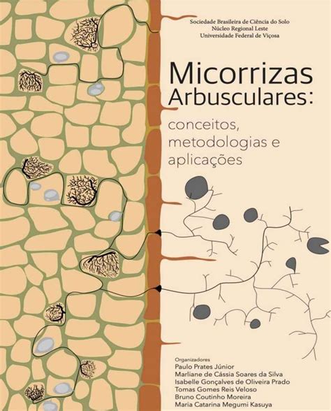 micorrizas arbusculares conceitos metodologias e aplicações centro de inteligência em orgânicos