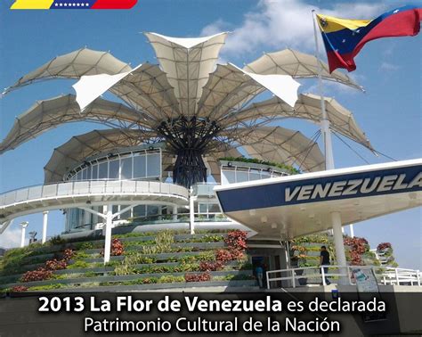 Hace 5 Años La Flor De Venezuela Fue Declarada Patrimonio Cultural De