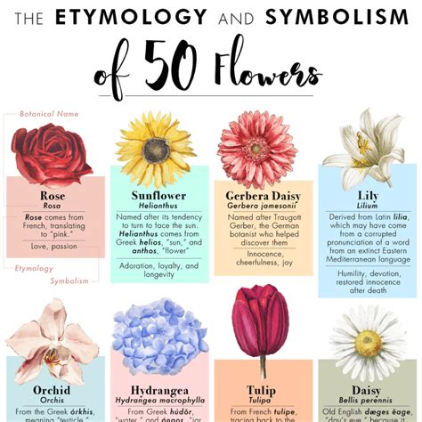 We did not find results for: Pin by Rowdy Woodpecker on Books and Learning :-) | Flower ...