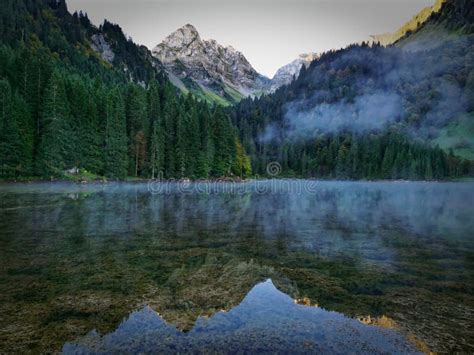 Beautiful Mountain Lake And Forest With Reflections Stock Photo Image
