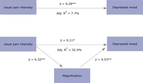 Catastrophizing Mediates The Relationship Between Pain Intensity And Depressed Mood In Older