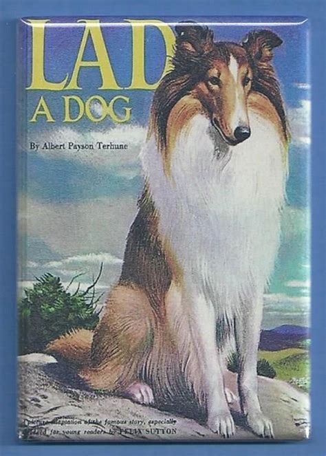 Lad A Dog Book Cover 2x3 Fridge Magnet Novel Albert Payson Terhune