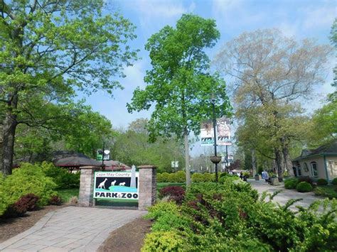 Plan Your Visit To The Cape May County Park And Zoo Dotheshore