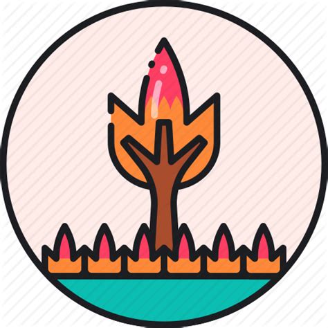 Wildfire Icon At Getdrawings Free Download