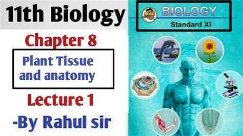 11th Biology Chapter 8 Plant Tissue And Anotomy Lecture 1