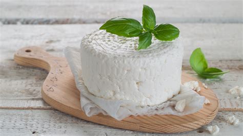 ¿cómo Hacer Queso Fresco Casa Del Quesero