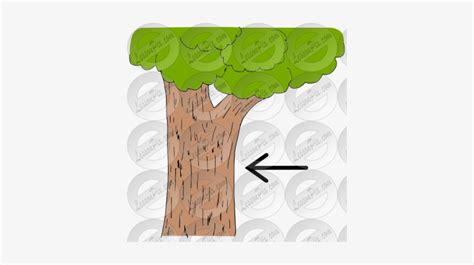 Tree Bark Clipart Clip Art Library