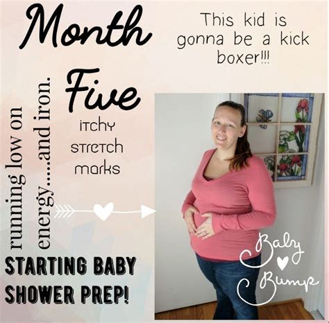 Month Five Baby Bumpsymptoms Everything Baby Baby Bumps Pickle