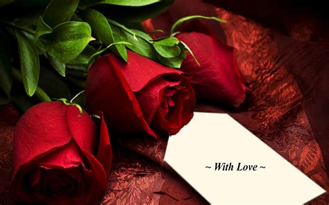 Romance Pretty Red Roses Romantic Rose With Love 1937404