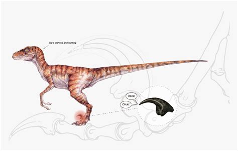 Velociraptor Deinonychus Concept Art Jurassic Park Wo