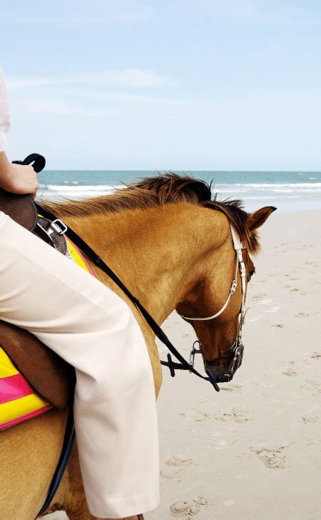 9 Of The Best 2023 Beach Horseback Riding Destinations In The United